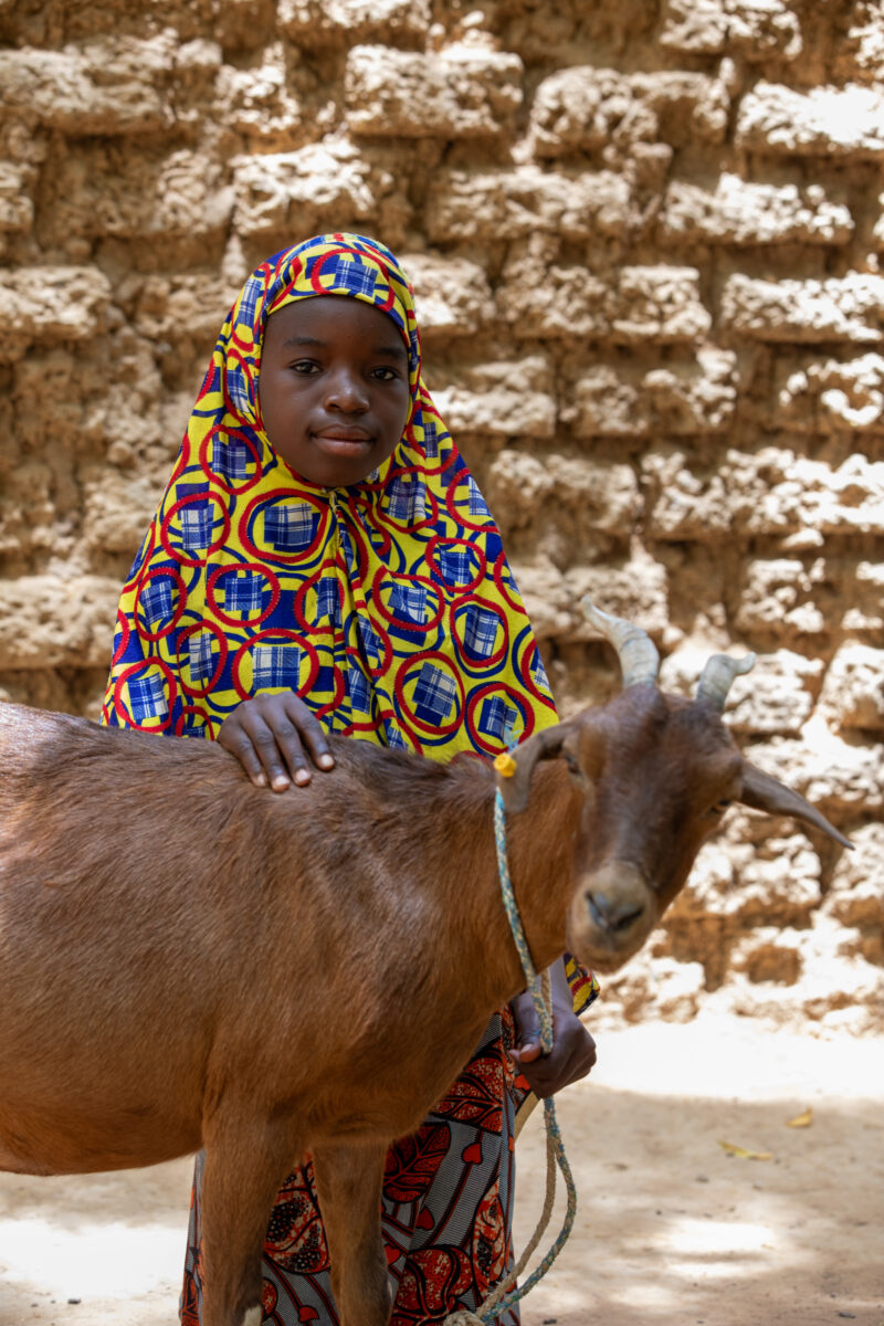 Girl and her Goat in Niger — As a way to promote income generation and food security, ADRA provides goats and training on how to take care of goats in Niger,...