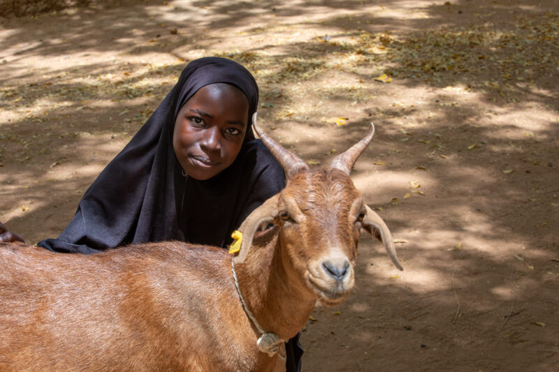 Girl and her Goat in Niger — As a way to promote income generation and food security, ADRA provides goats and training on how to take care of goats in Niger,...