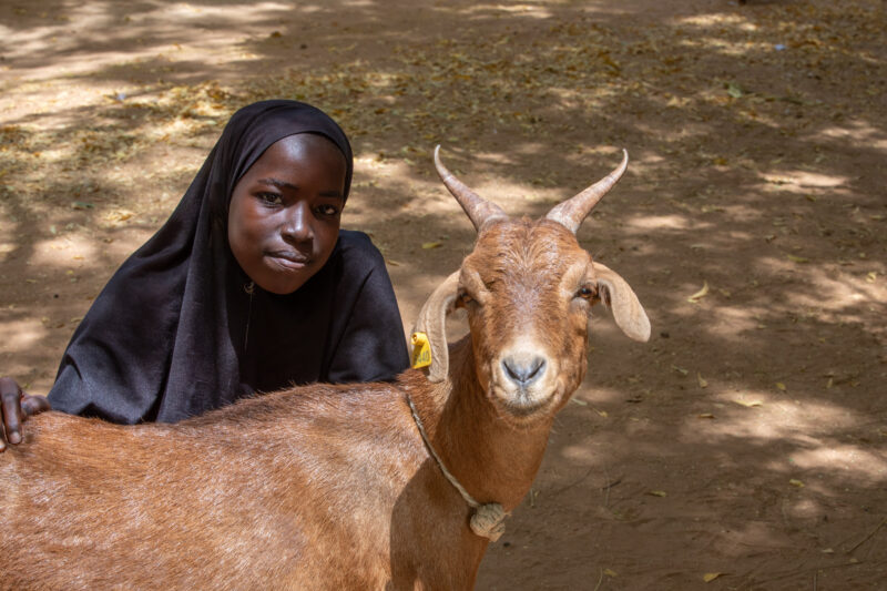 Girl and her Goat in Niger — As a way to promote income generation and food security, ADRA provides goats and training on how to take care of goats in Niger,...