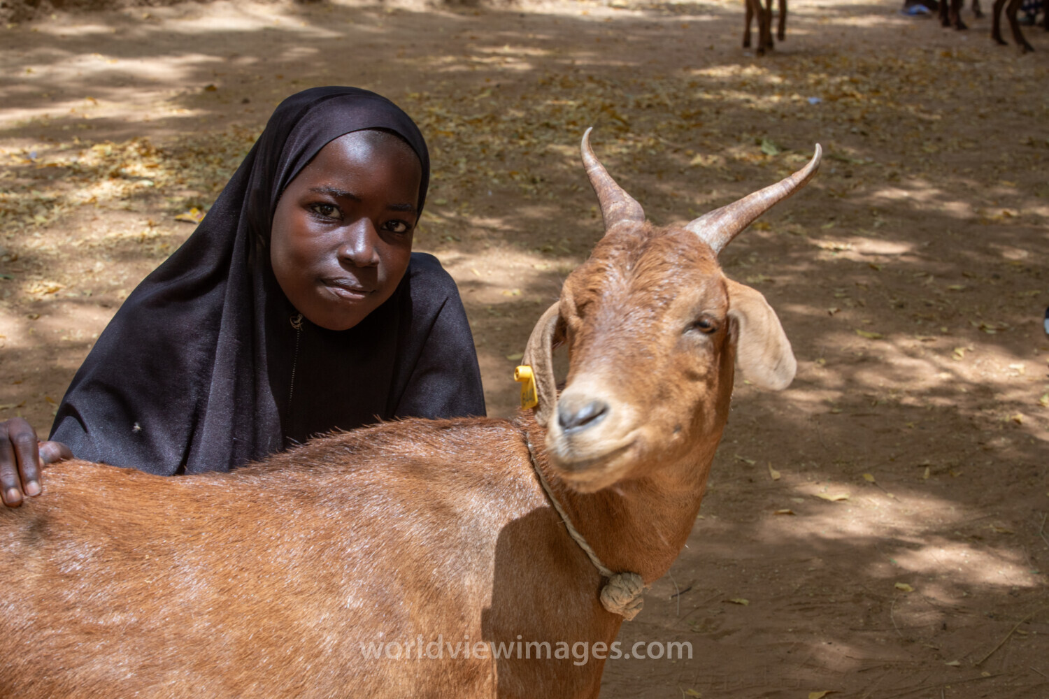 Girl and her Goat in Niger