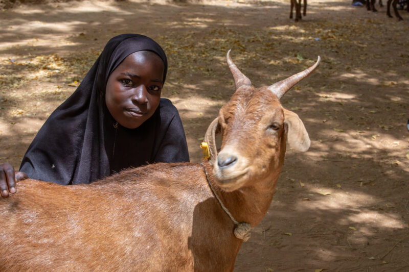 Girl and her Goat in Niger — As a way to promote income generation and food security, ADRA provides goats and training on how to take care of goats in Niger,...