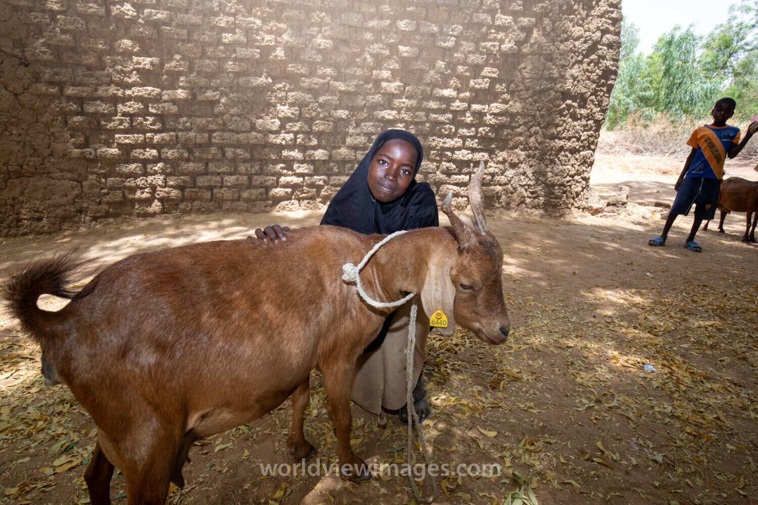 Girl and her Goat in Niger