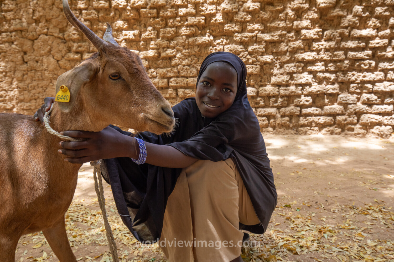 Girl and her Goat in Niger