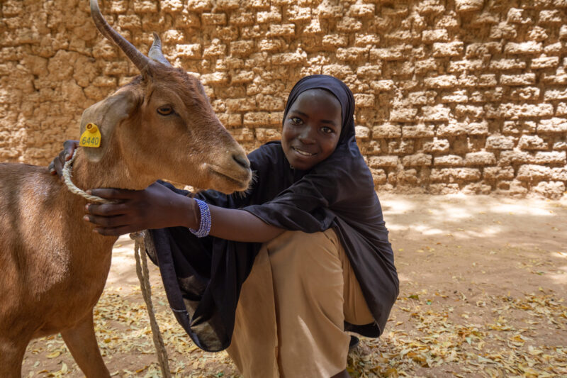 Girl and her Goat in Niger — As a way to promote income generation and food security, ADRA provides goats and training on how to take care of goats in Niger,...