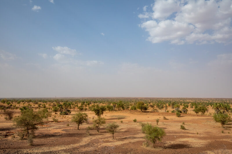 Dry Season — Fields in Niger, Africa, close to the Sahara deasert, lay bare during the driy season. — Africa, Desert, Education, Lowland, Nature