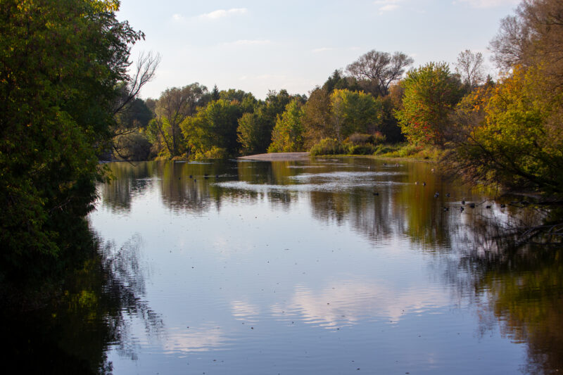 Scenic Lake — Nature, Plant, River, Tree, Waters