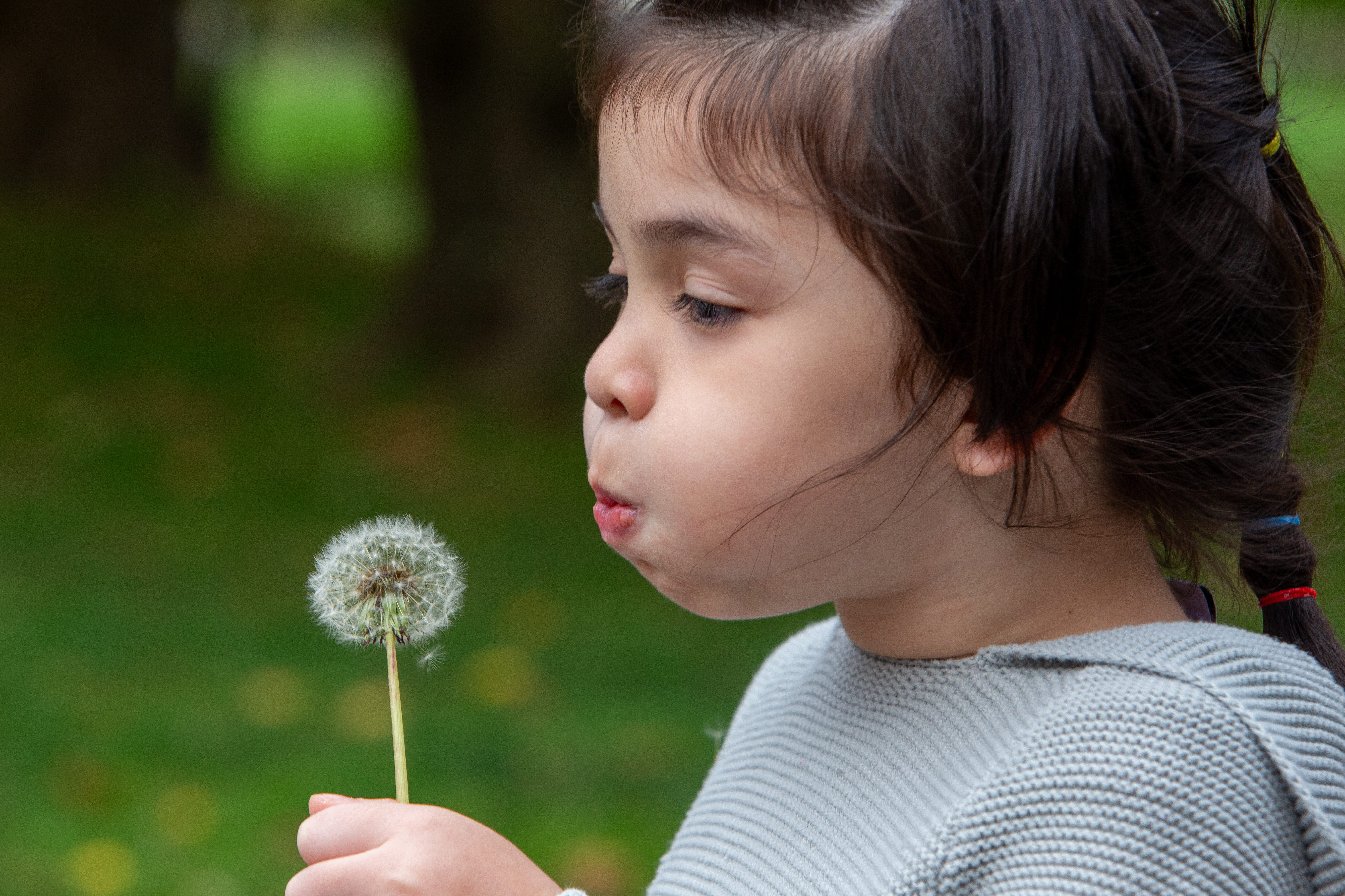 Blowing the Dandilion