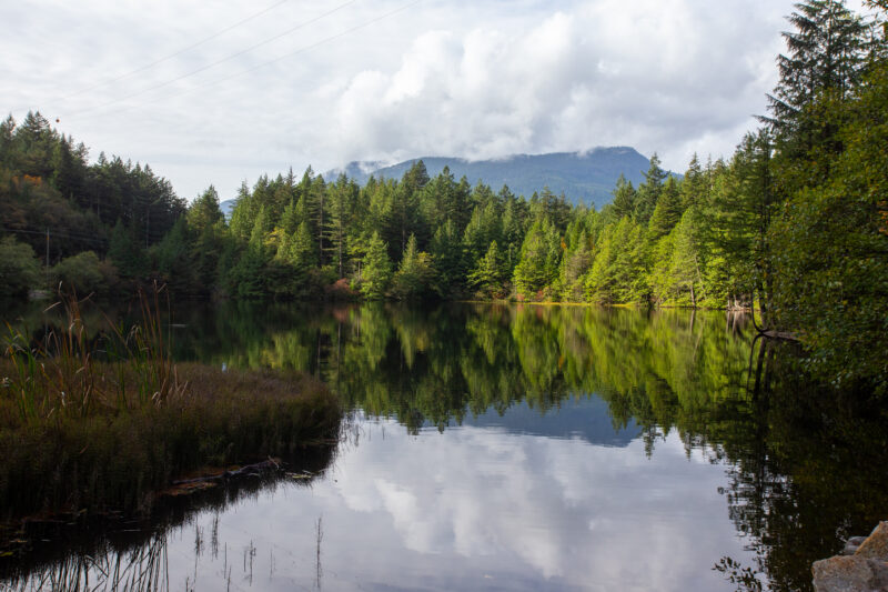 Scenic Lake — Forest, Highland, Mountain, Nature, Plant
