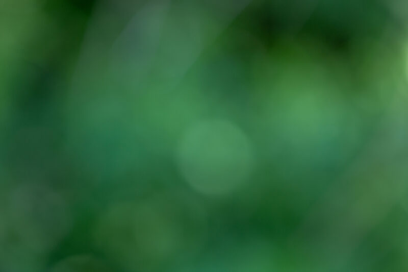 Blurred Background — Organic backgrounds out of focus, — Blur, blurred backgrounds, organic backgrounds, nature
