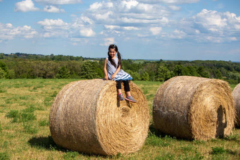 Girl on a Haybale — Agriculture, Child, Eyes Closed, Field, Frontal Face