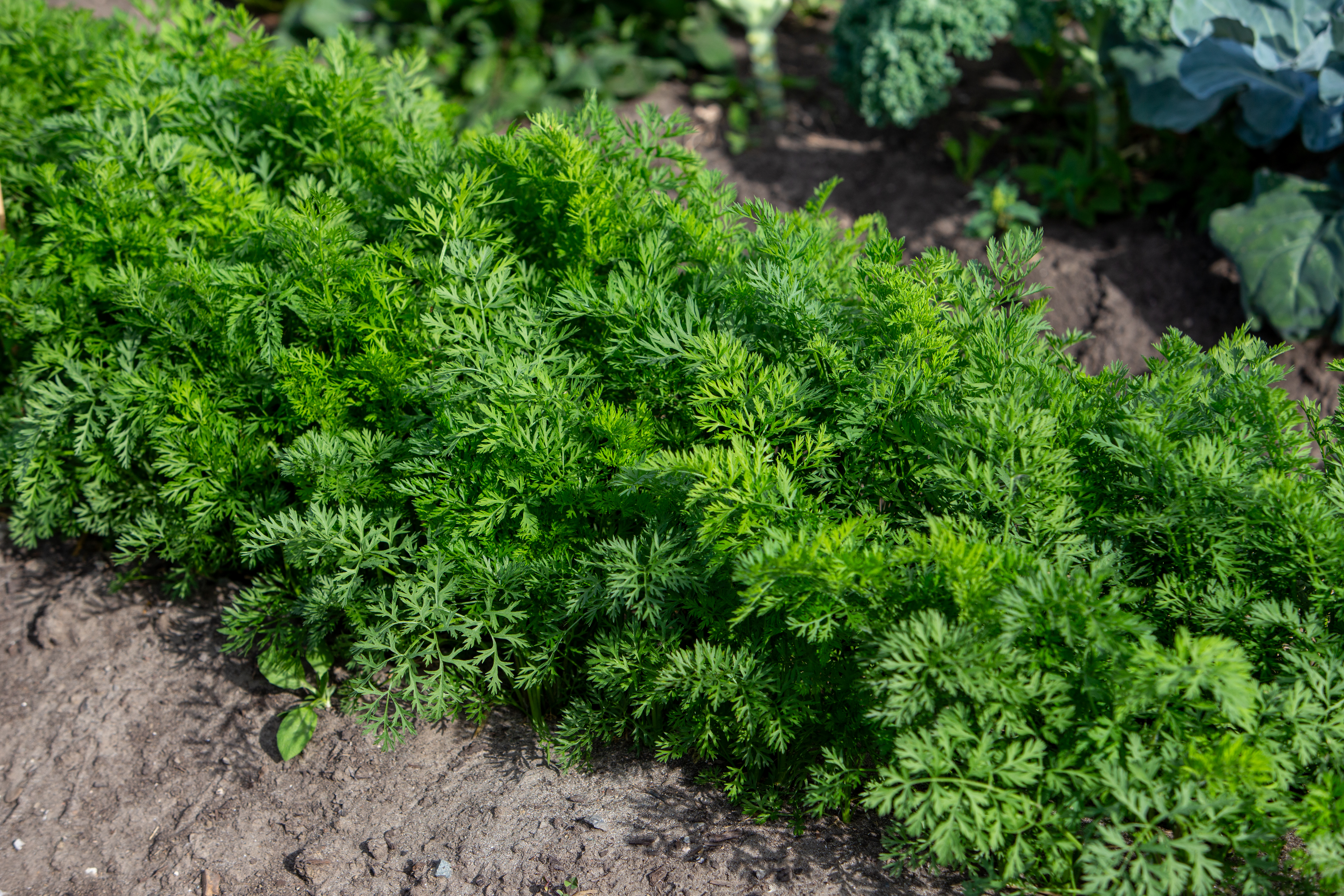 WorldViewImages_020089