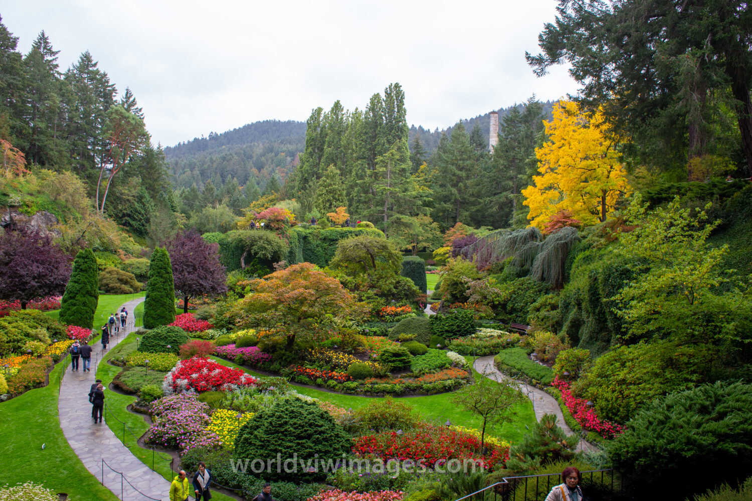 Queen Elizabeth Park i