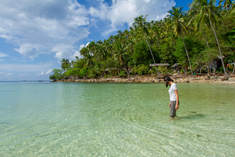 Beach in Thailand — Beach, Complementary Colors, Island, Nature, Palm Tree