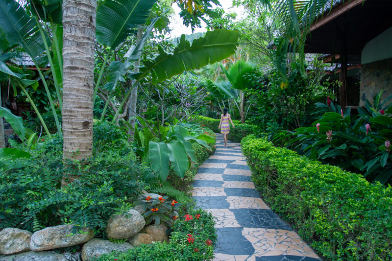 Resort in Thailand — Garden, Nature, Palm Tree, Person, Plant