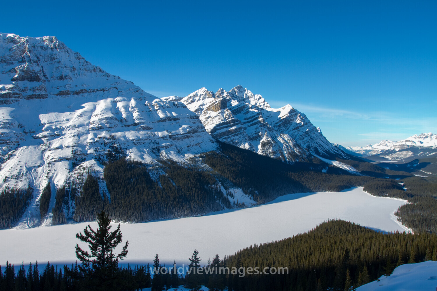 Peyto Lake in Winter