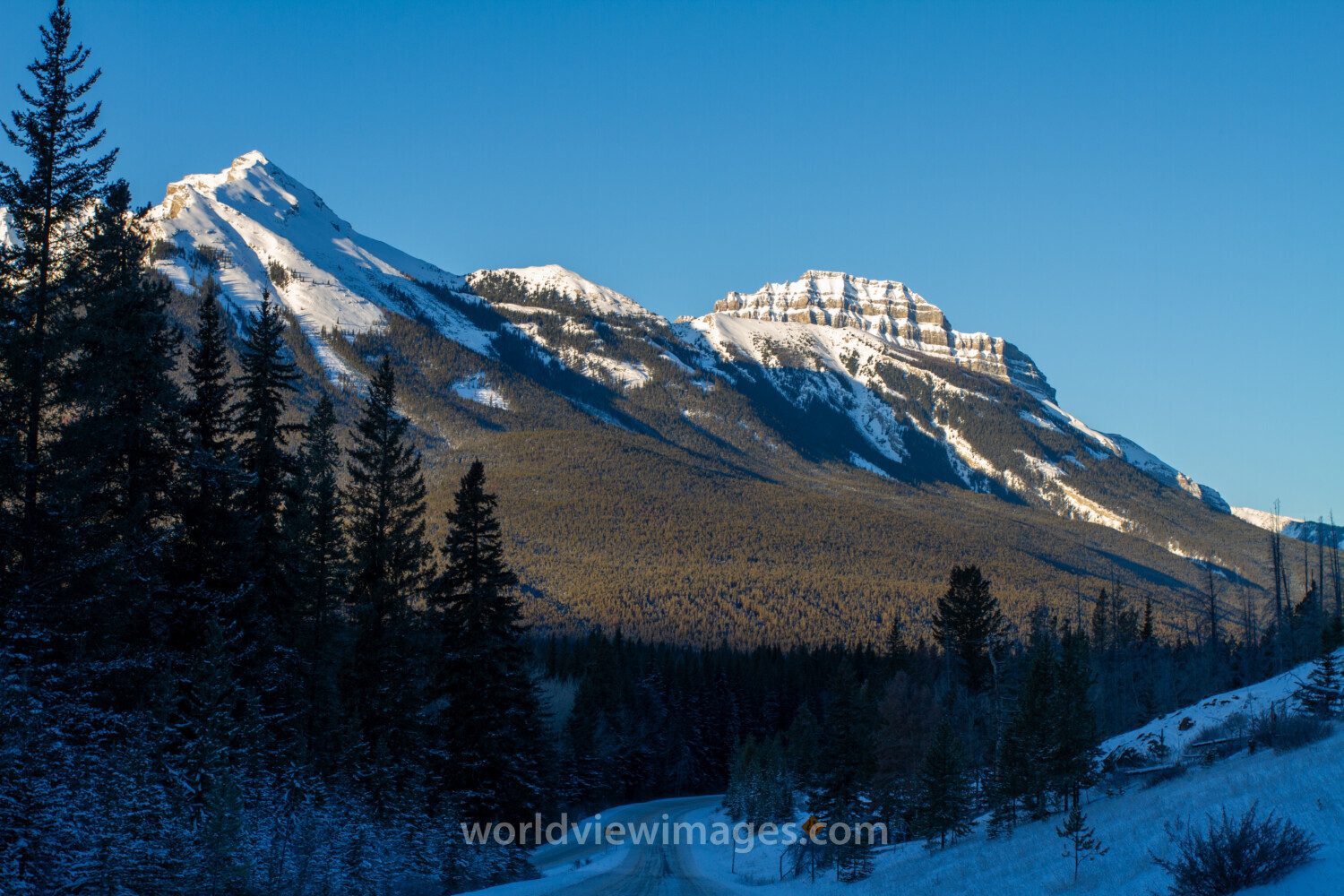 Mountain Scene in Winter