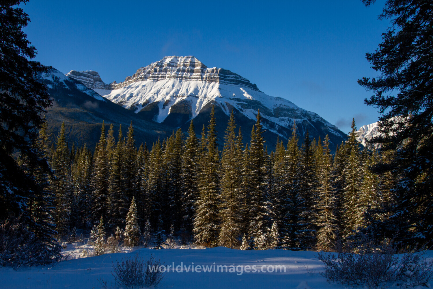 Mountain Scene in Winter