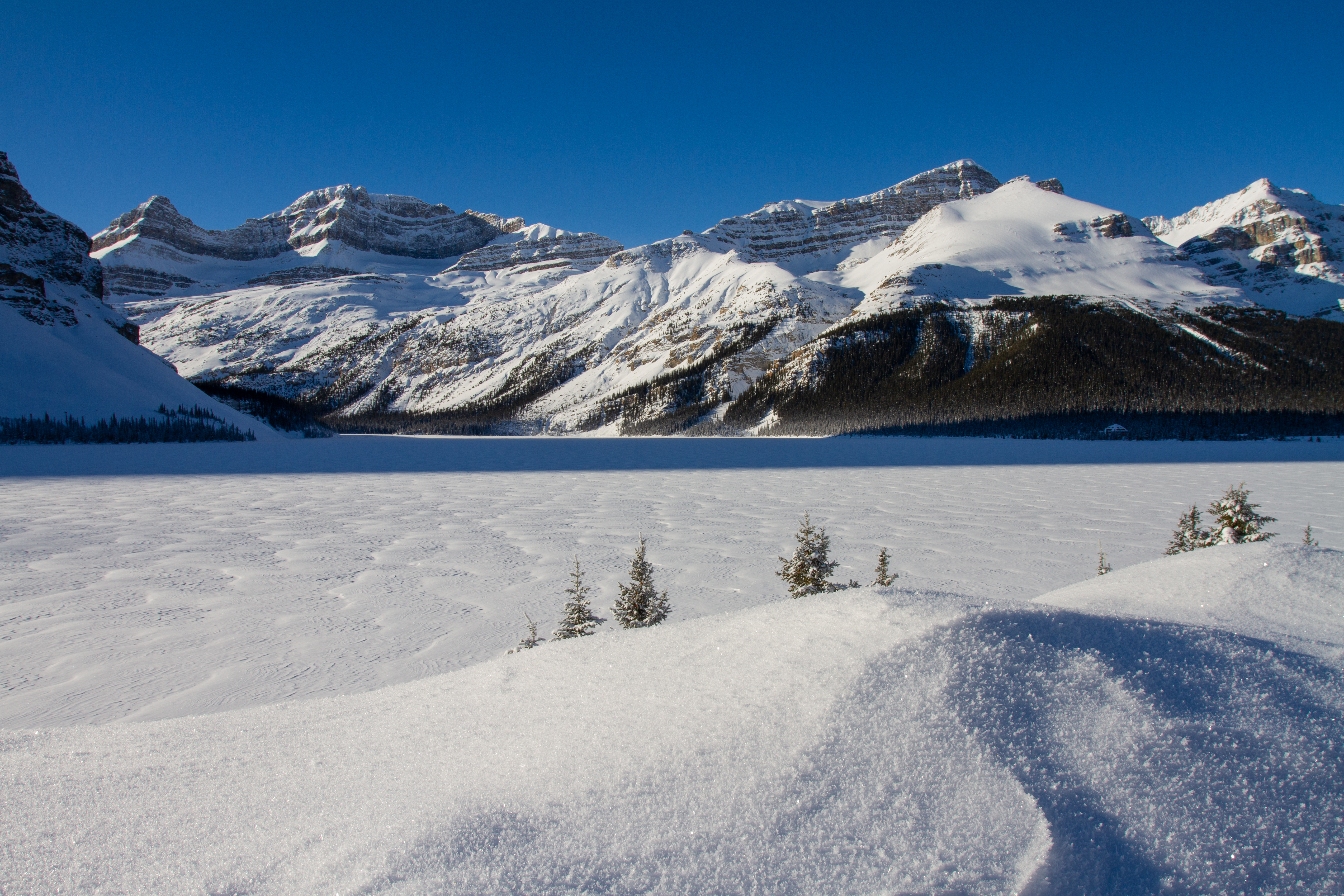Bow Lake in Winter