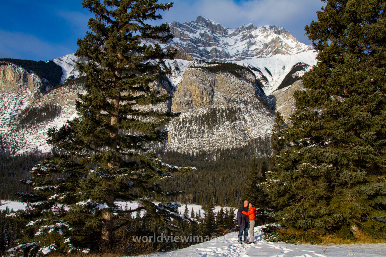 Mountain Scene in Winter