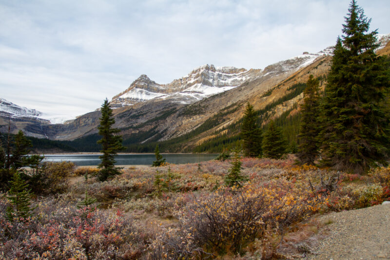 Bow Lake — Nature, Alberta, Canada, Banff National Park, Scenic