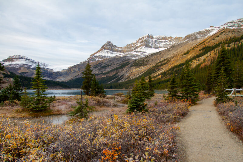 Bow Lake — Nature, Alberta, Canada, Banff National Park, Scenic