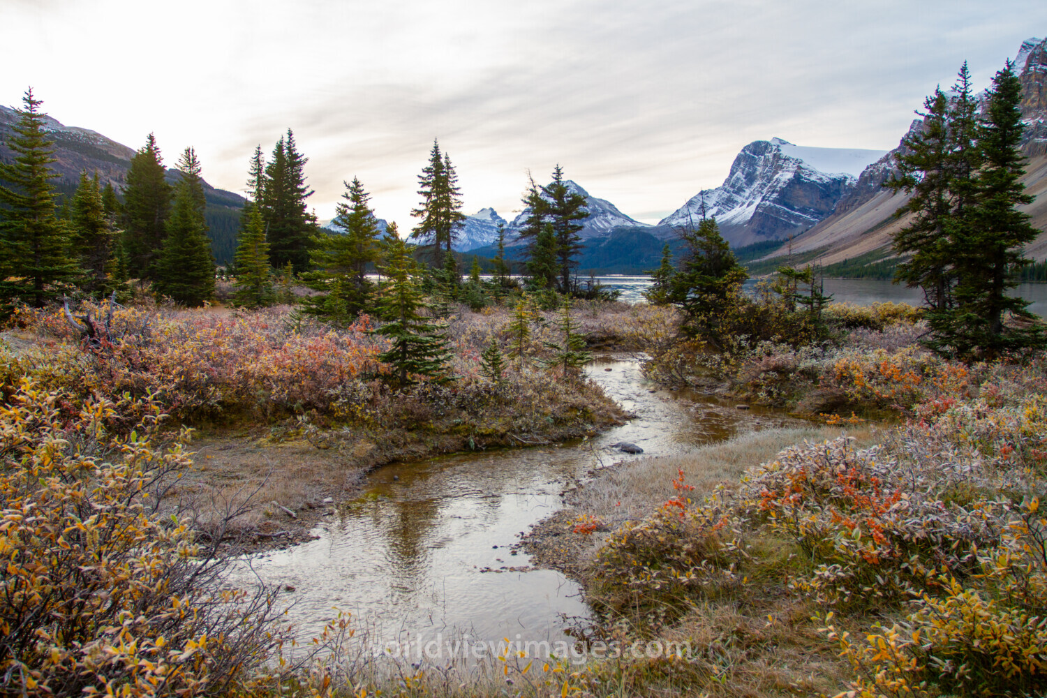 Bow Lake