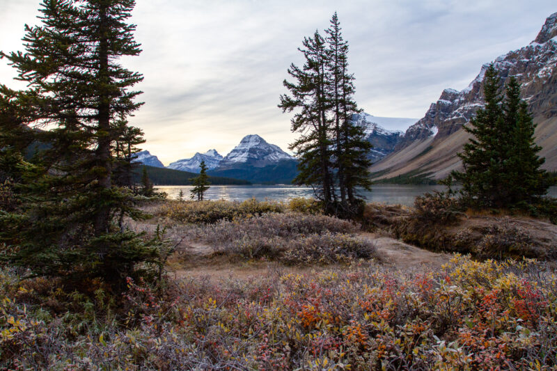 Bow Lake — Nature, Unsaturated, Alberta, Canada, Banff National Park