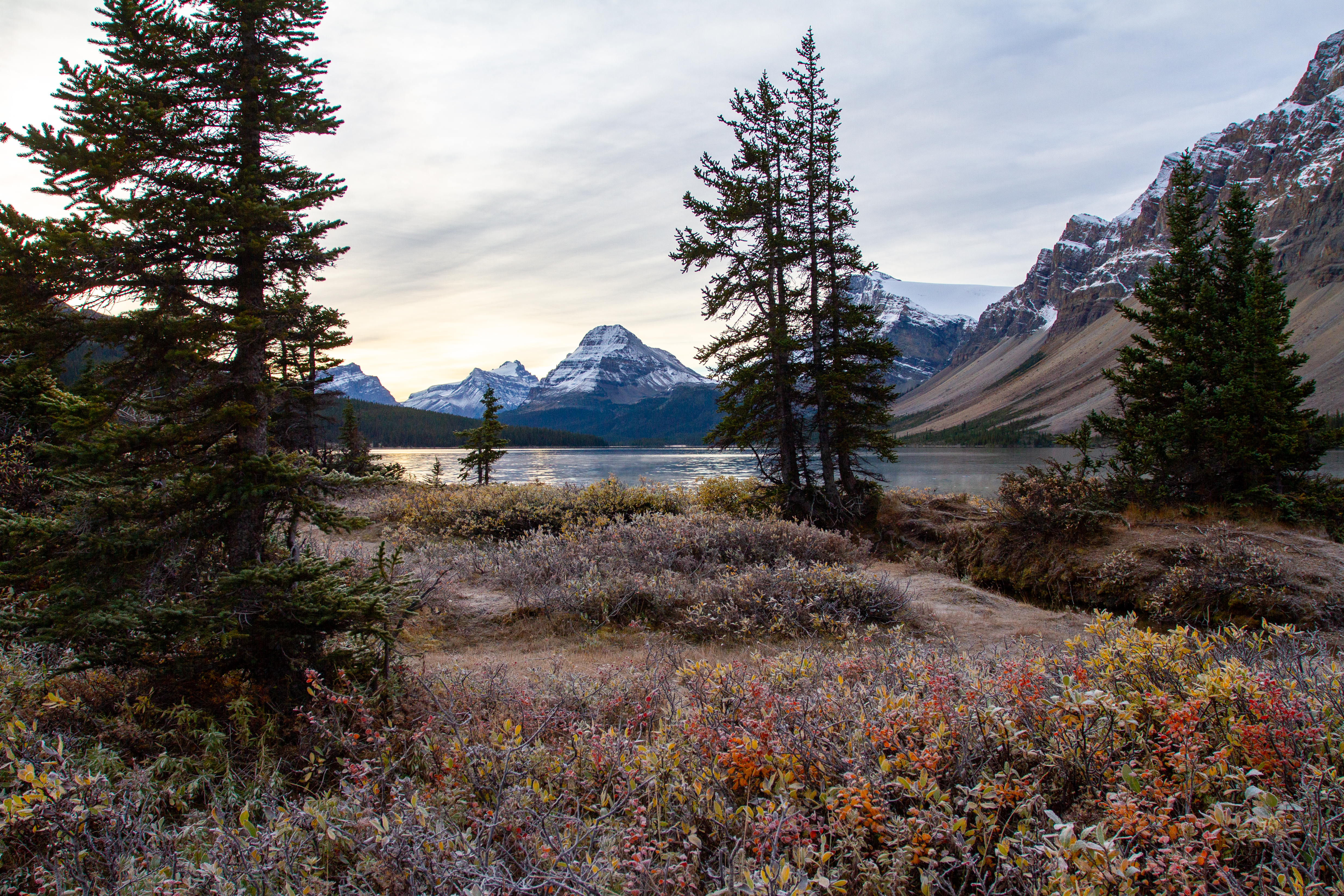 Bow Lake