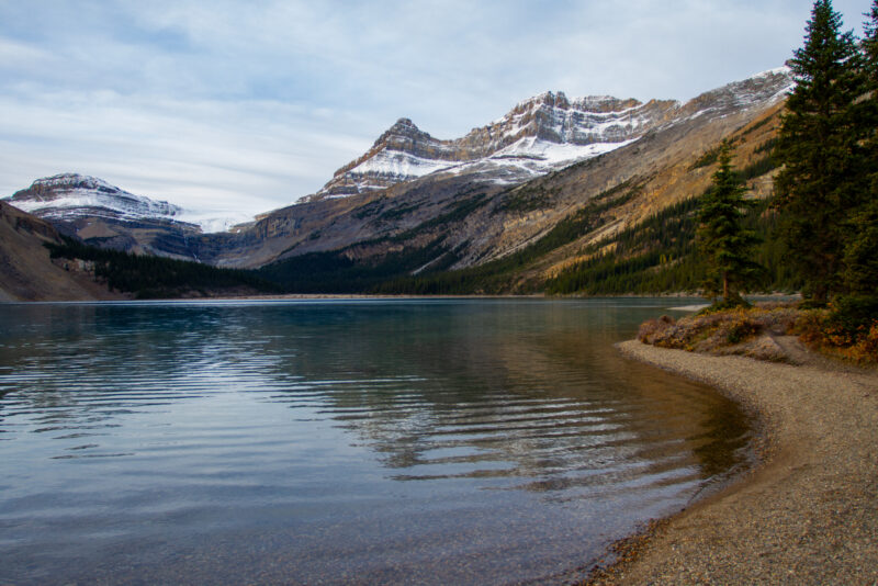 Bow Lake — Lake, Nature, Waters, Alberta, Canada