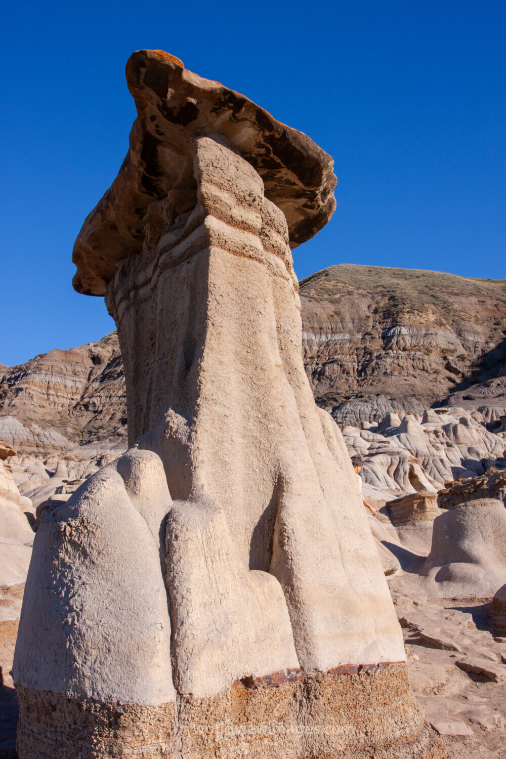 The Badlands of Alberta