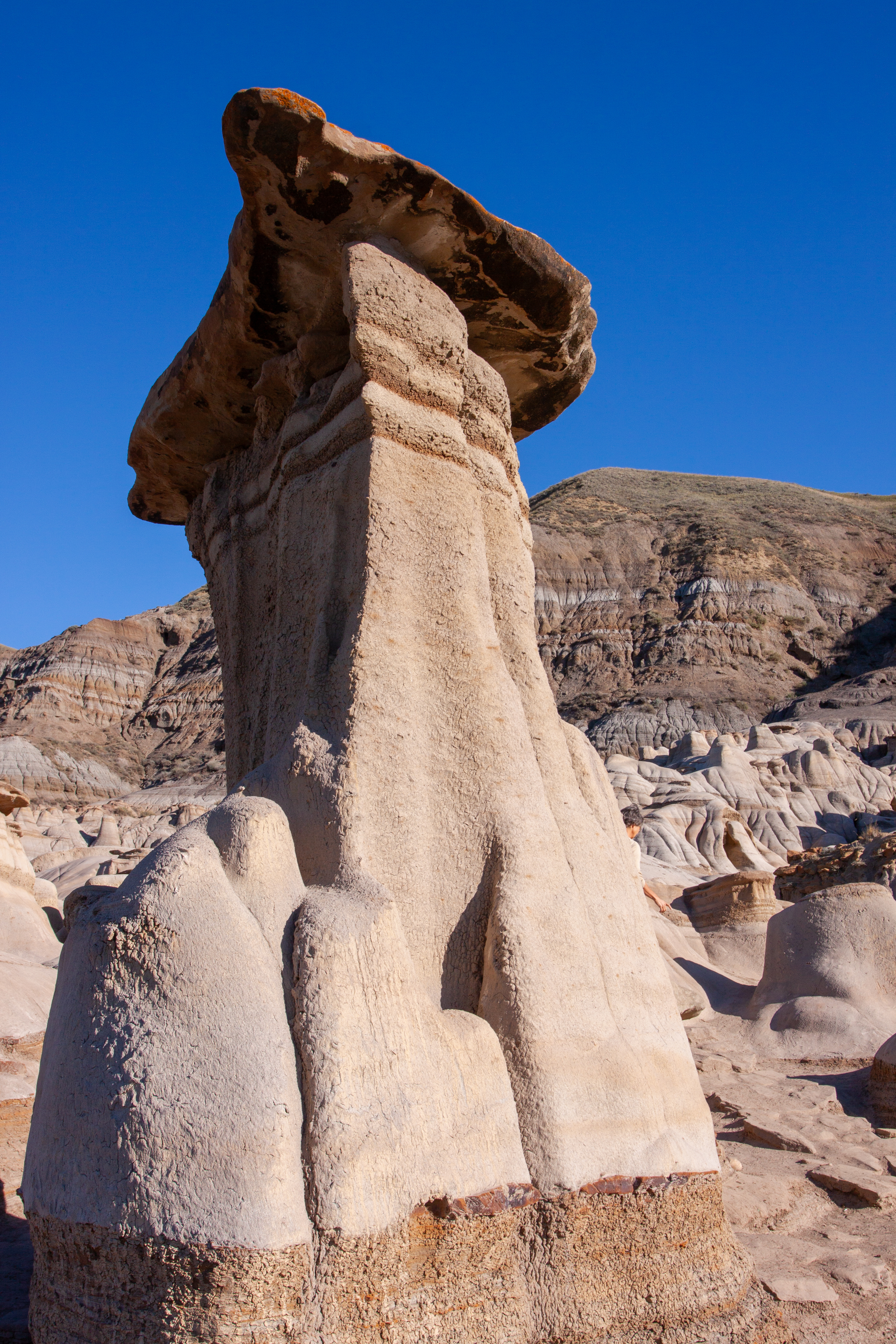 The Badlands of Alberta