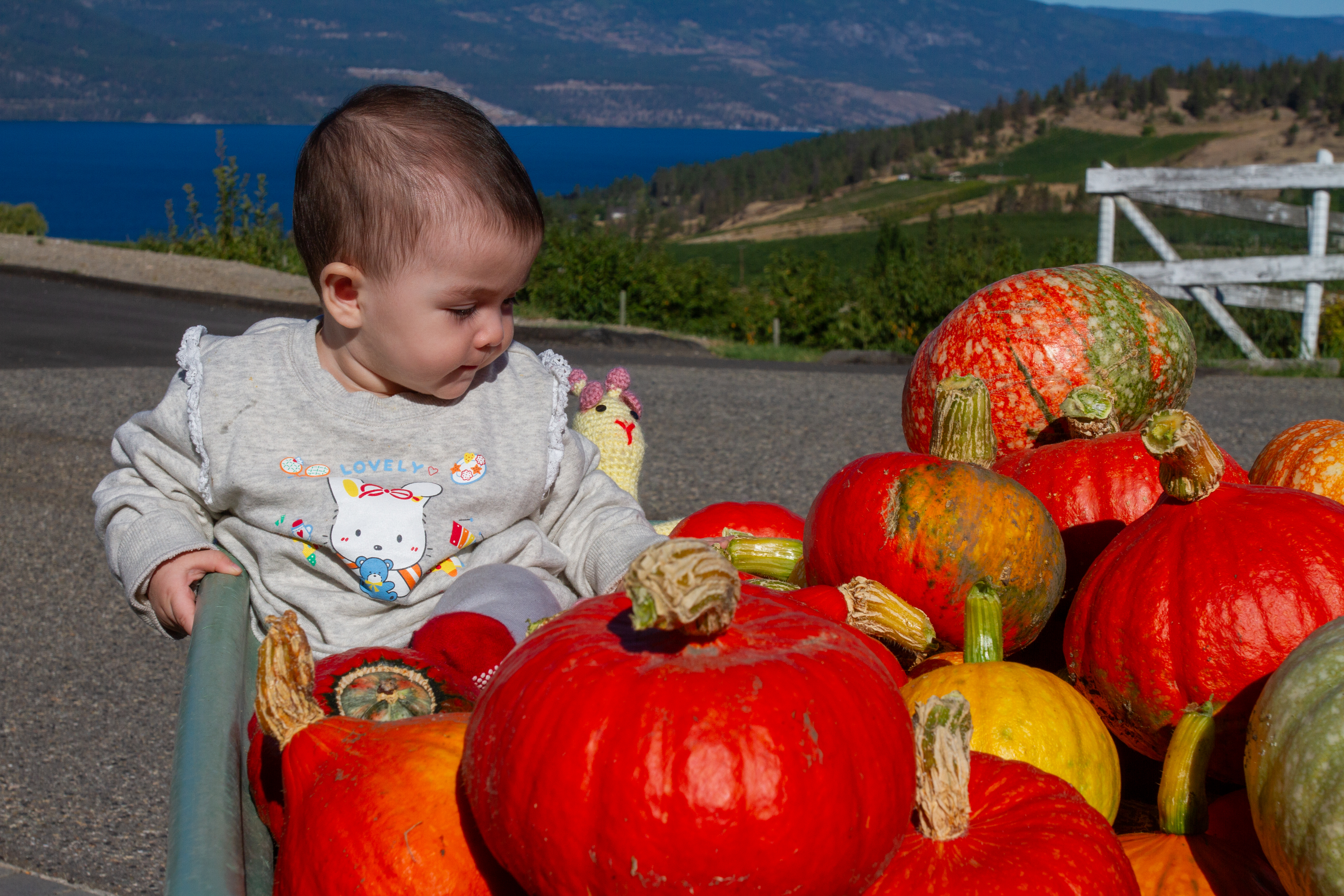 Baby with Pumkins