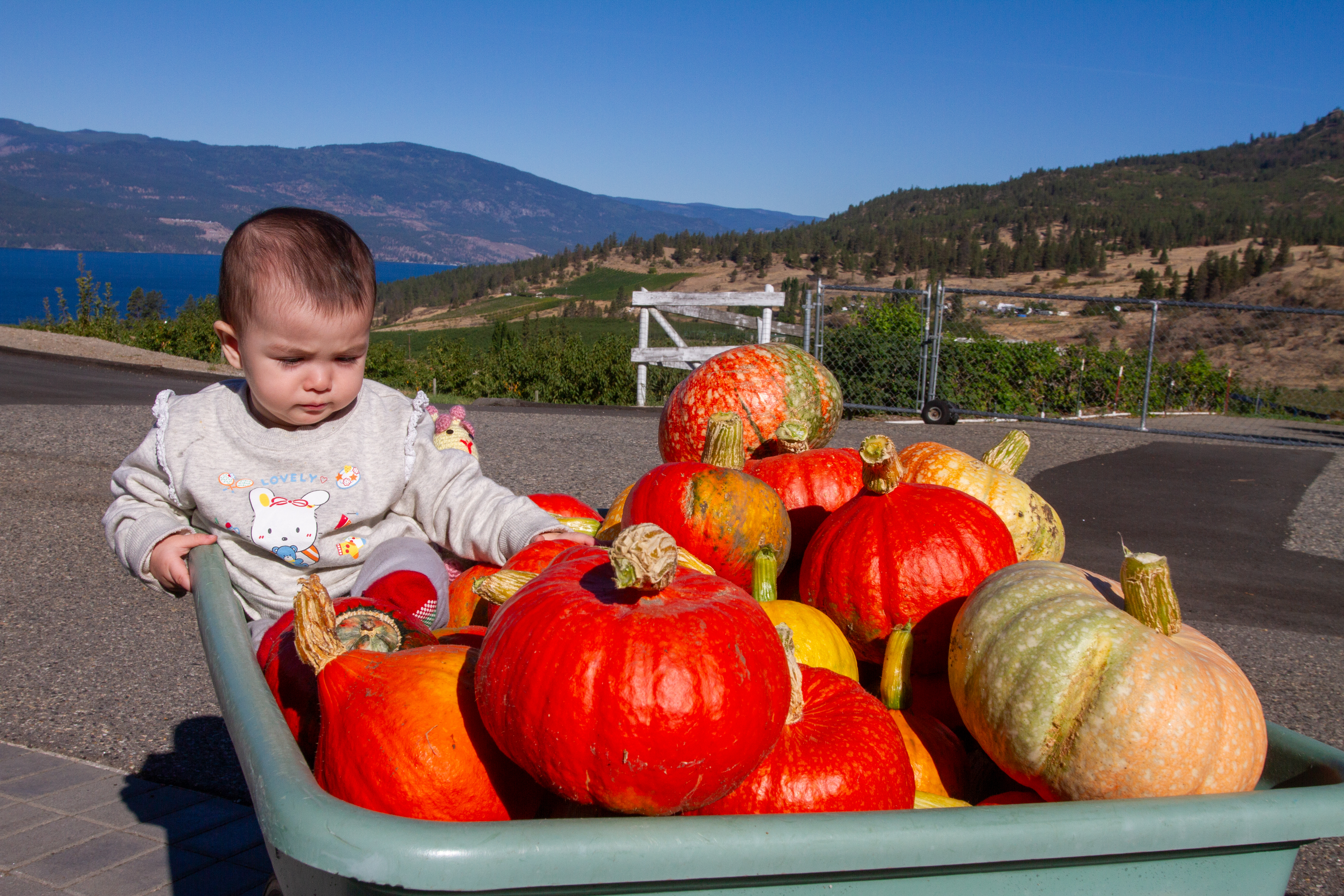 Baby and Pumkins