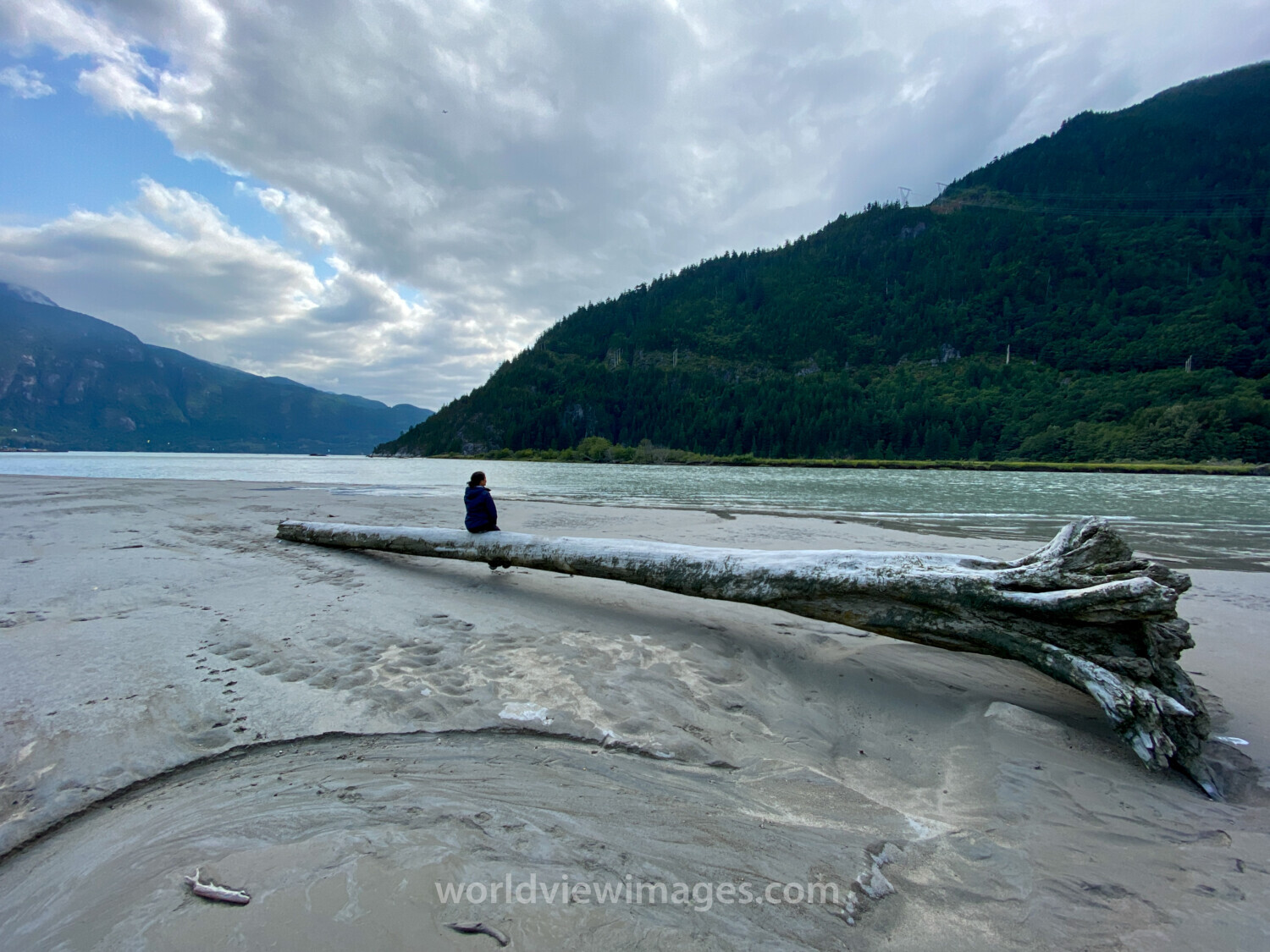 Taking in the Scenery