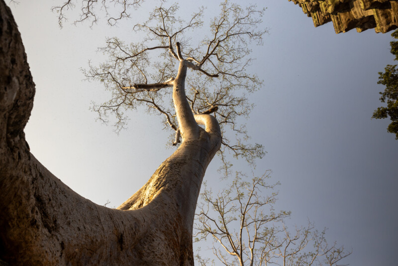 Photo: Angkor Wat — Cambodia, Angkor Wat