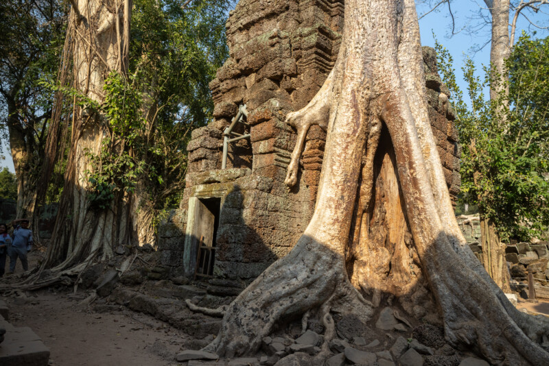 Angkor Wat — Cave, Nature, Person, Cambodia, Angkor Wat