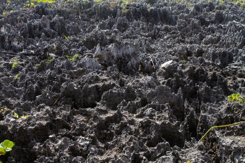 Grand Caymen Islands — A place called Hell — Agriculture, Field, Food, Nature, Unsaturated