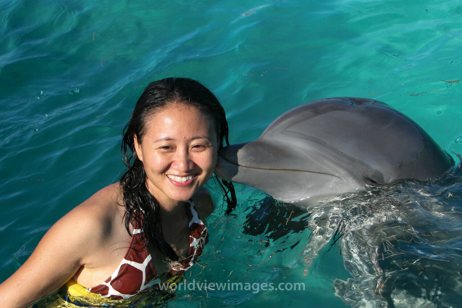 Swimming with Dolphins