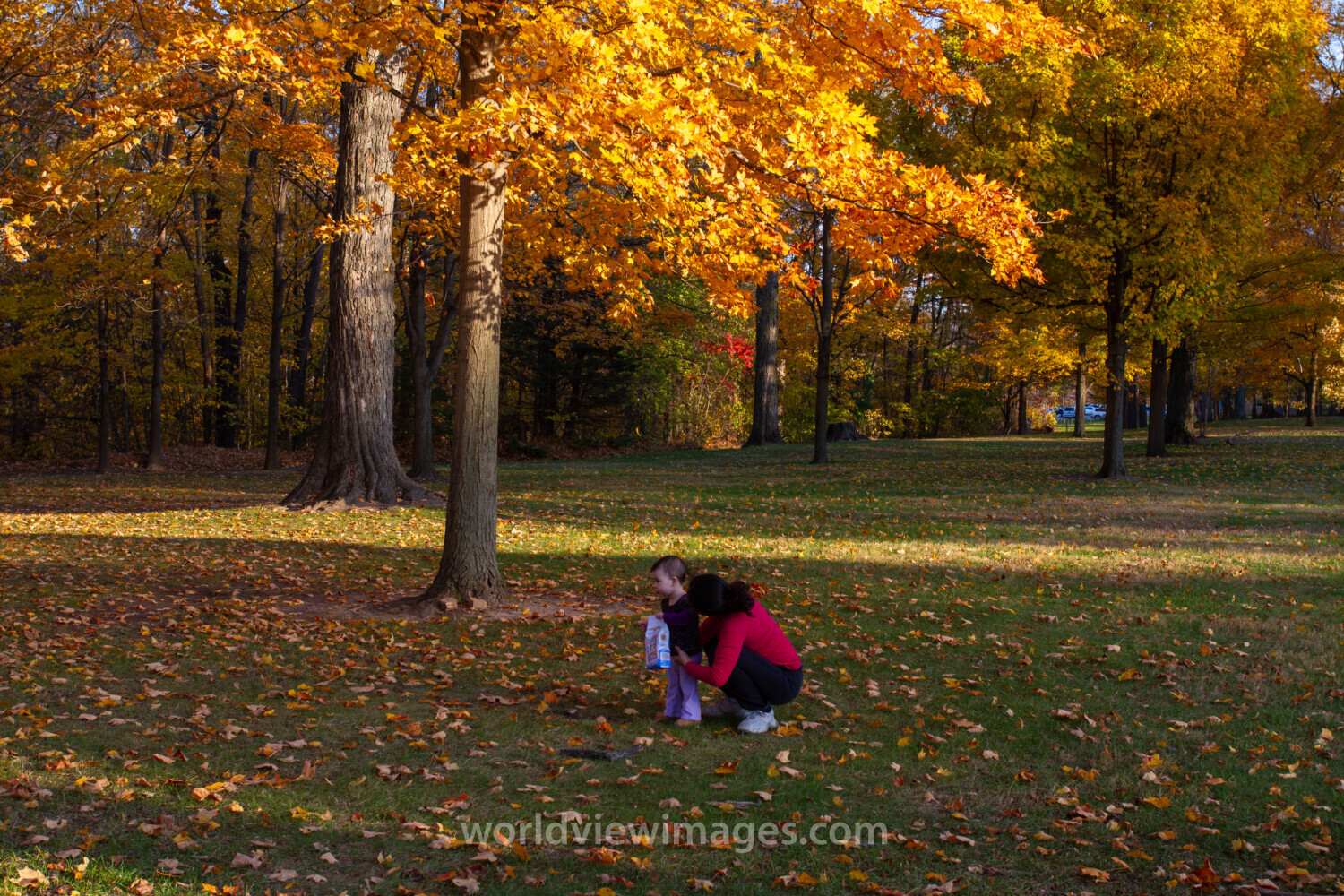 Fall Colours in the Park with Baby