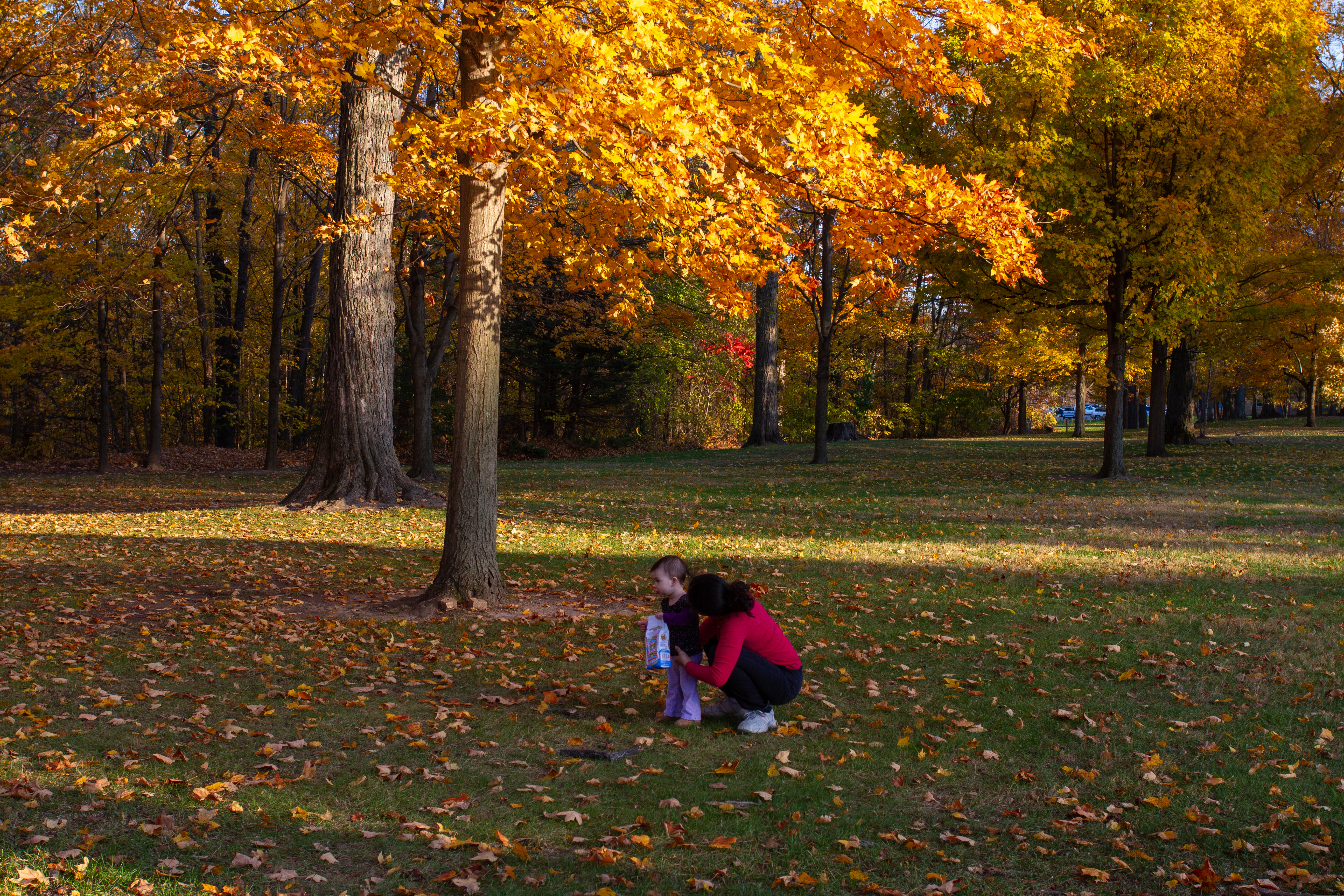 Fall Colours in the Park with Baby
