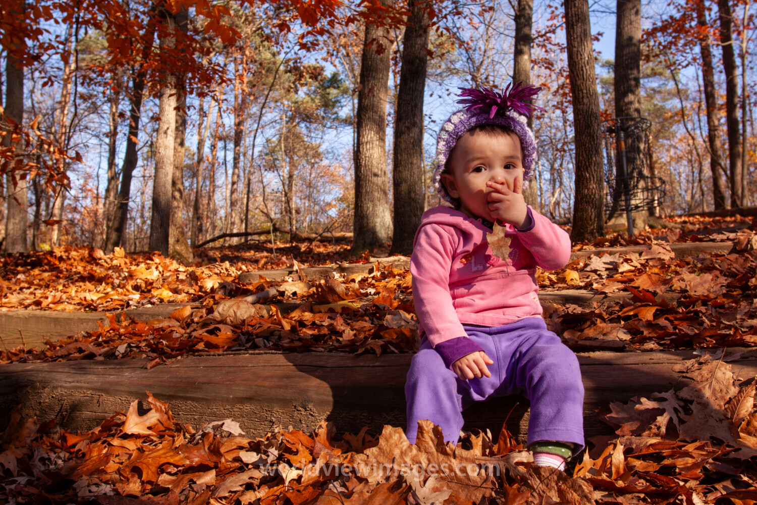 Fall Colours with Baby