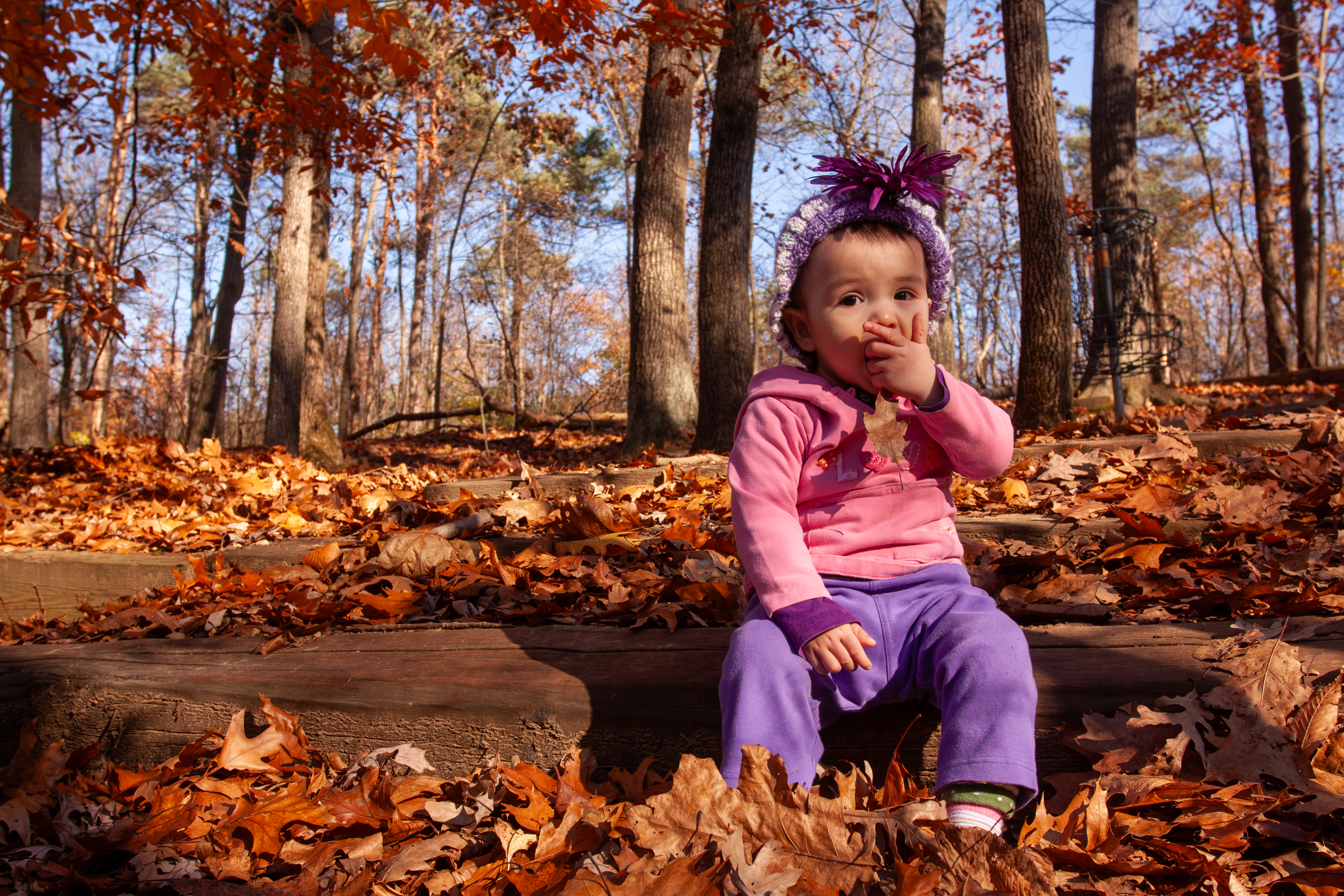 Fall Colours with Baby