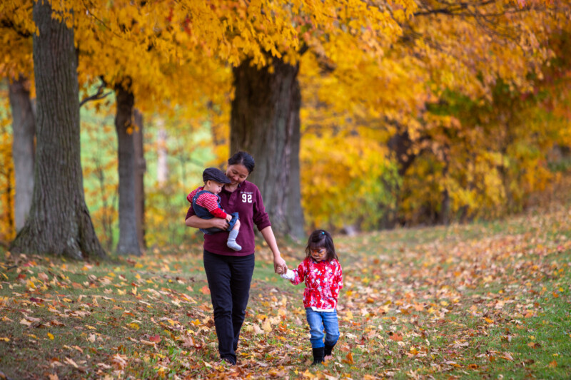 Fall Colours — Mother walks with Children in the fall. — Tree, Trees, Fall, Autumn, leaves