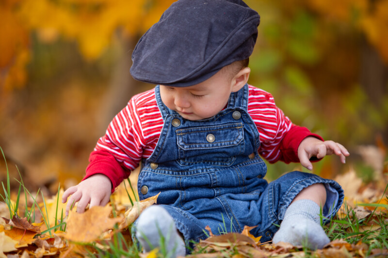 Baby in the Fall Leaves — Baby discovers fall colours — Tree, Trees, Fall, Autumn, leaves