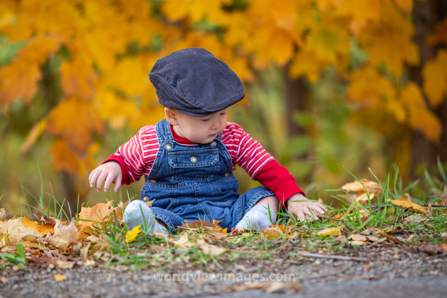 Baby in the Fall Leaves