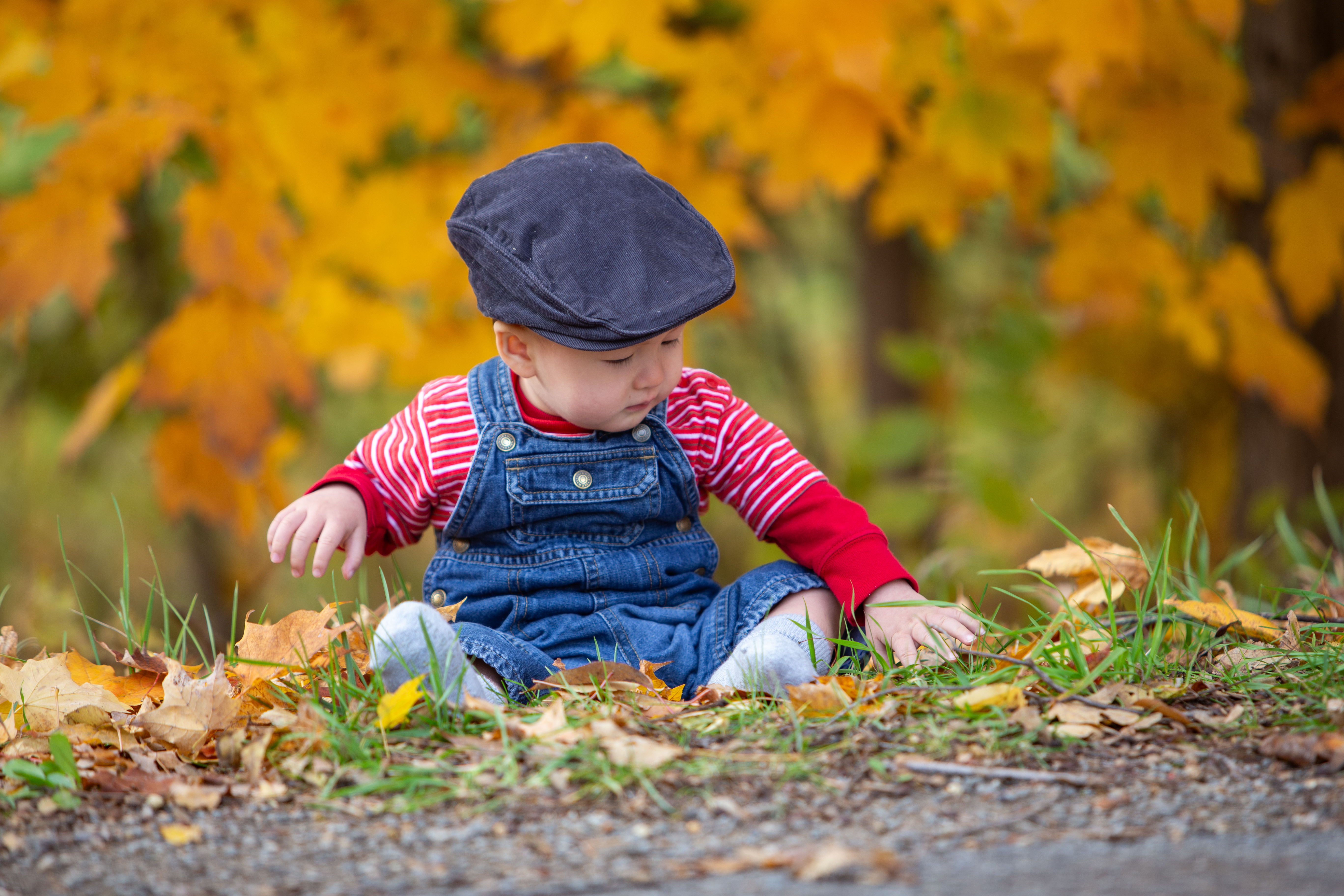 Baby in the Fall Leaves