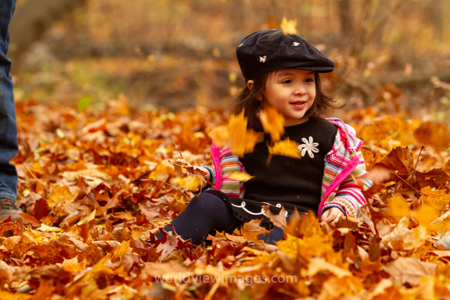 Baby in the Fall Leaves