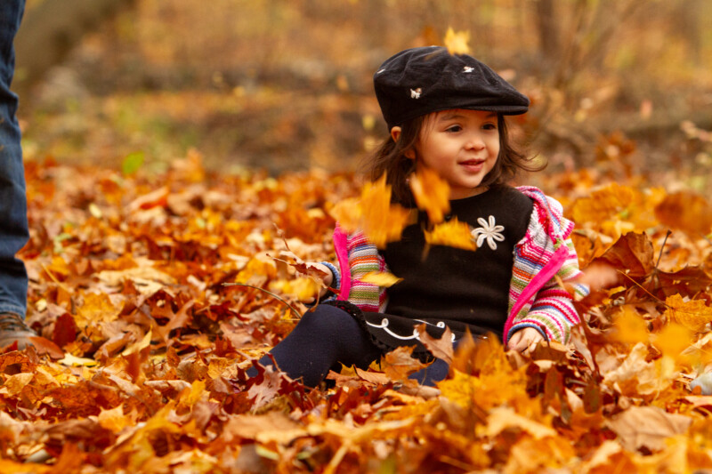 Baby in the Fall Leaves — Baby discovers fall colours — Tree, Trees, Fall, Autumn, leaves