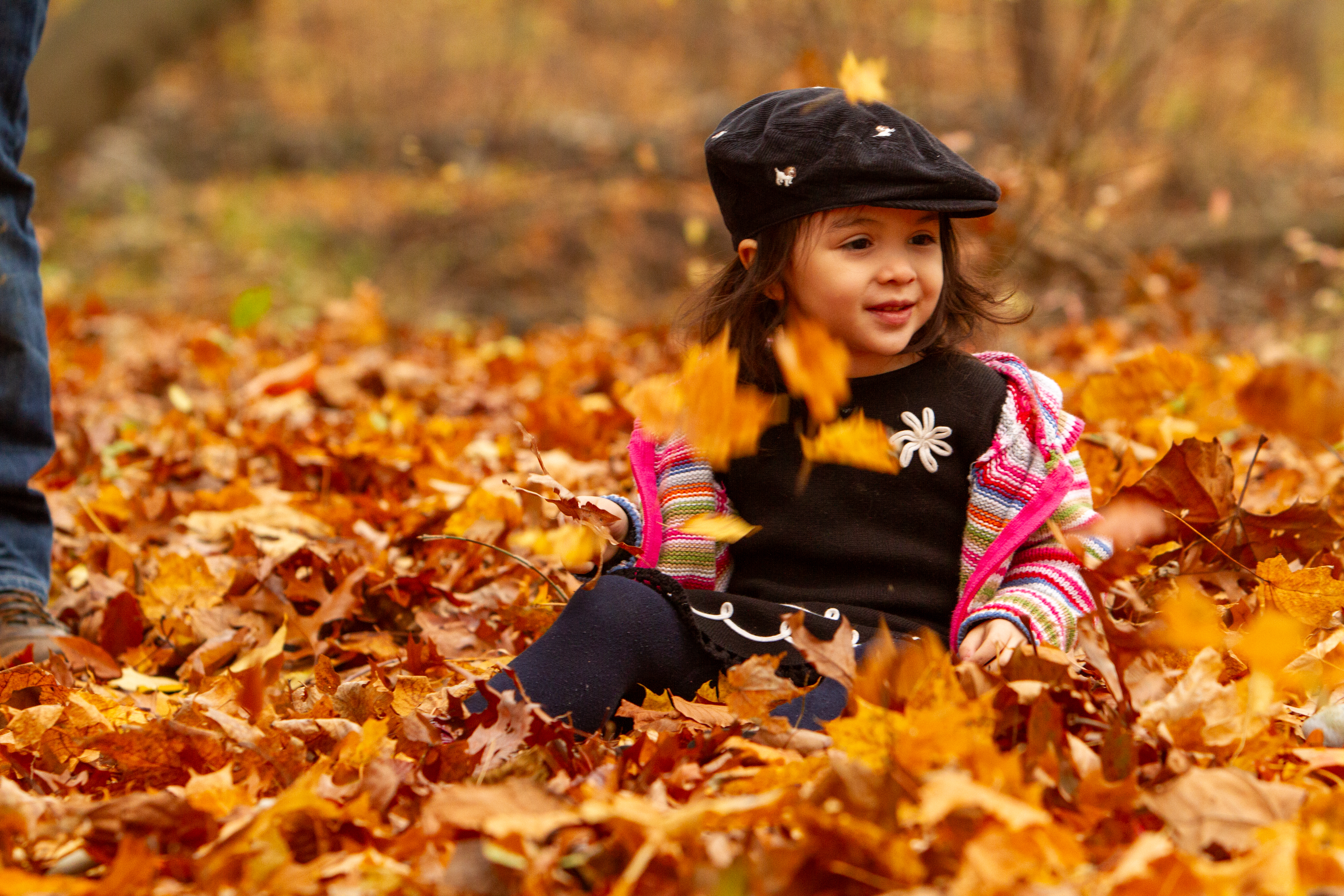 Baby in the Fall Leaves