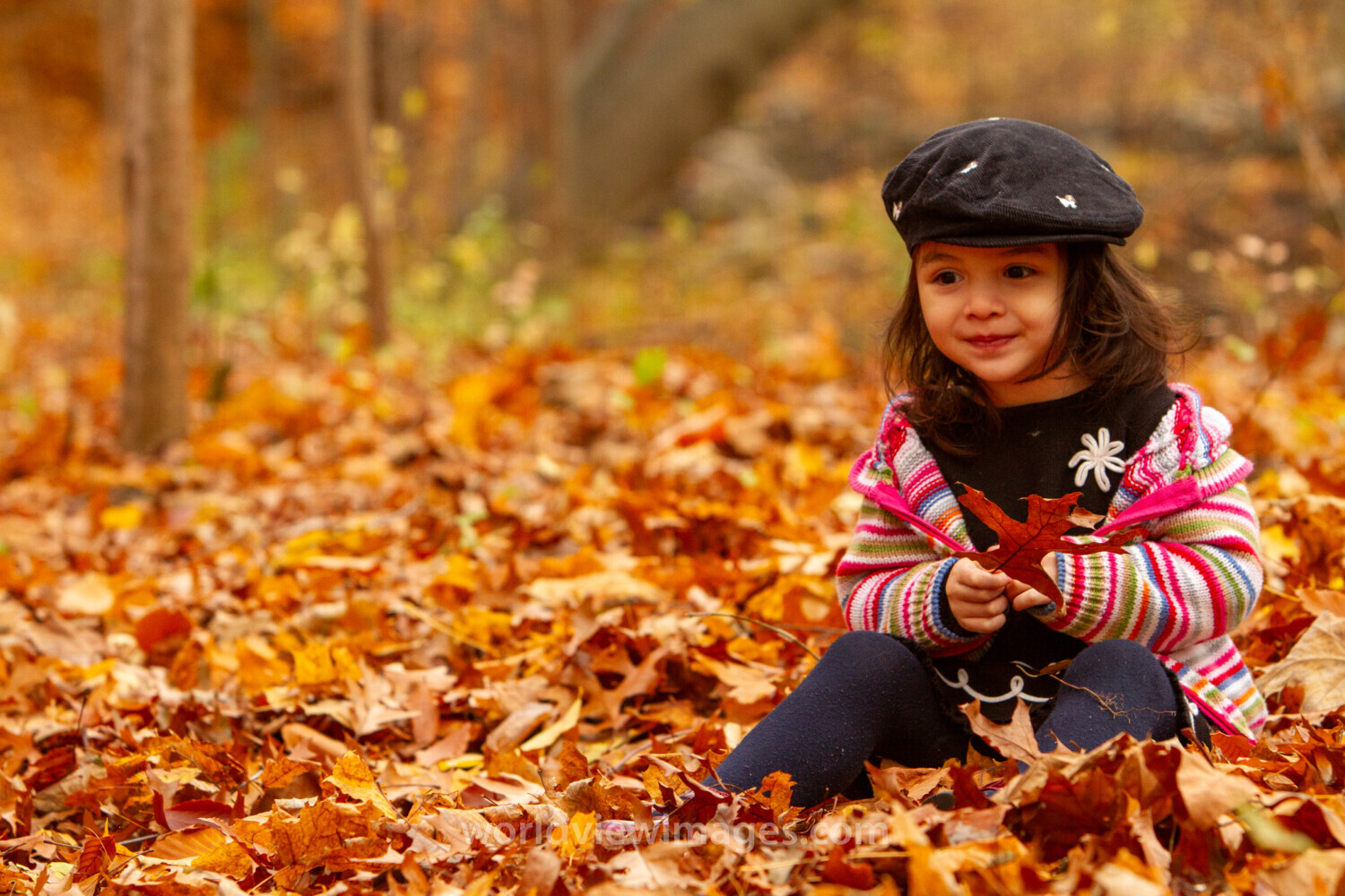 Baby in the Fall Leaves